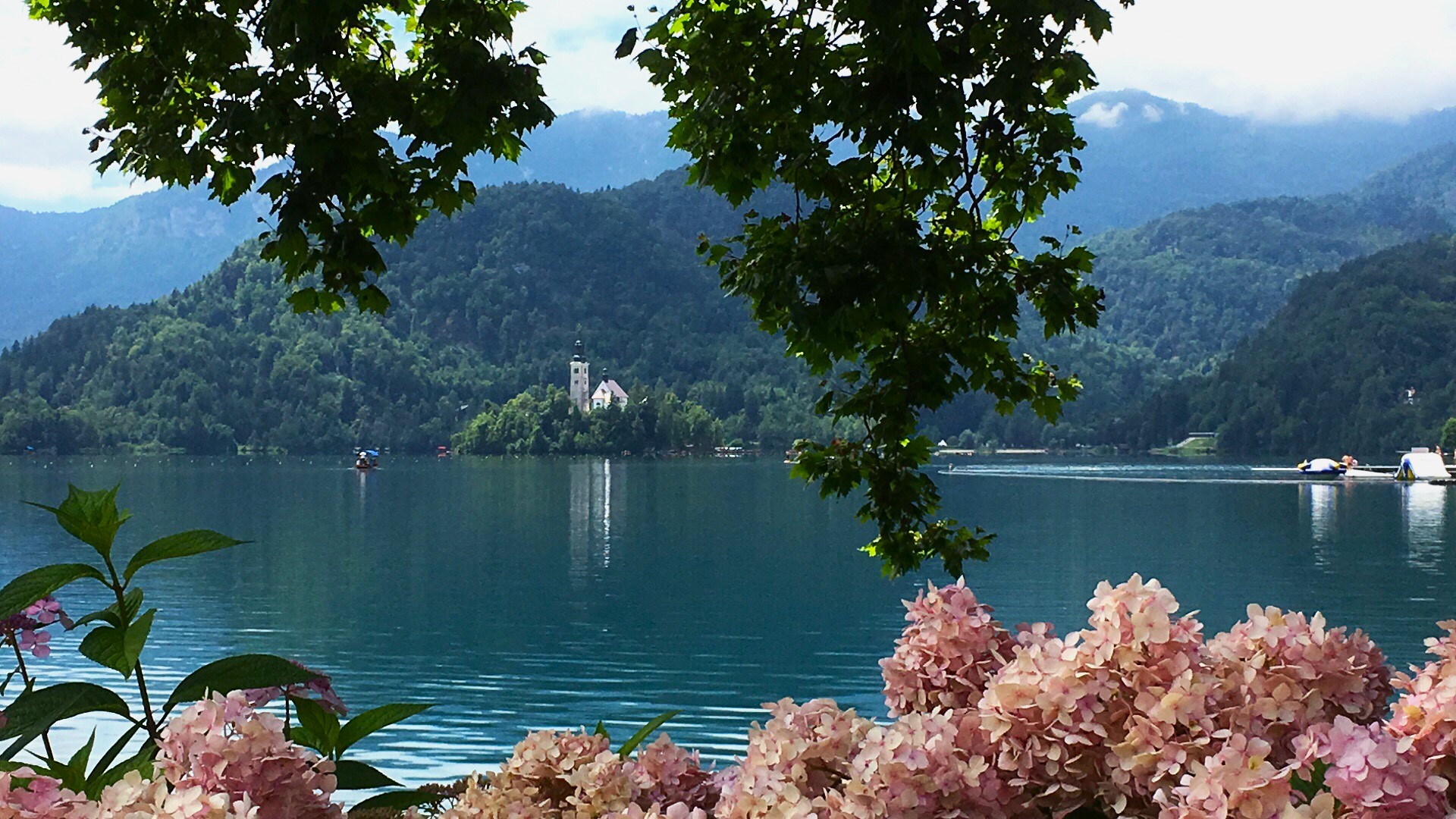 Pohled na jezero Bled skrz listy