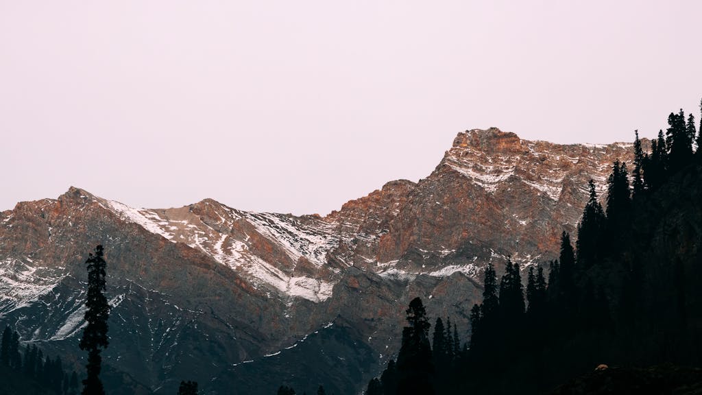 Stunning view of snow-capped mountains and pine trees at dawn.